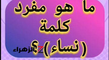 “أبكت ملايين الطلاب حتى النحيب”.. ما هو مفرد كلمة “نساء” في قاموس اللغة العربية؟!! .. إجابة مستحيل تخطر على بالك!!