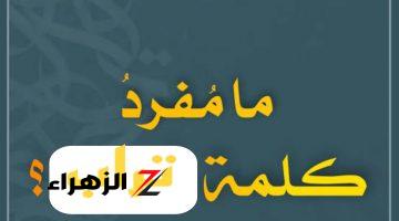 «دفعة 2020 سقطت بسببها».. مفرد كلمة «تراب» التي سقط بسببها اكتر من الدفعه والنص الباقي في انهيار بسببها.. اعرف السر