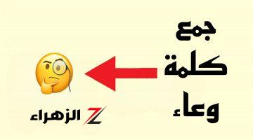 «الاف الطلاب سقطوا بسببها»!!.. ما هو جمع كلمة “وعاء” في اللغة العربية الفصحي.. دكتور جامعي يوضح المعني