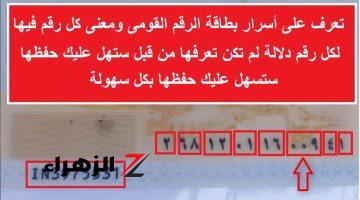 “99% مايعرفوش معناه إيه!! “.. لن تصدق ماهي دلالة الـ 14 رقم الخاص في بطاقة الرقم القومي؟! ..  أراهنك ان حد قالك المعلومة دي من قبل !!!