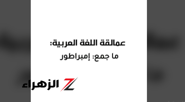 عملاقة اللغة العربية فين.. ما هو جمع كلمة إمبراطور؟ “سؤال حير ملايين الطلاب”