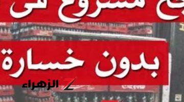 هتبقي مليونير في سنة .. فكرة مشروع أرباحه باهظة تصل لـ 100 ألف جنيه شهريا برأس مال 40 ألف فقط .. اوعي تضيع الفرصة من إيدك