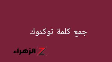 العباقرة بس اللي عرفت تحلها.. لن تصدق ما جمع كلمة “توكتوك” في اللغة العربية التي أبكت 90% من الطلاب؟! إجابة لم تخطر على بال الطلاب