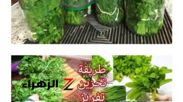 هتخزينه من السنة للسنة!!.. طريقة تخزين الشبت والبقدونس والكزبرة هتبقى خضراء كأنها طازة!!.. هتقولي ياريتني عرفتها من زمان!!