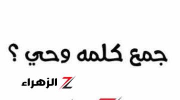 ولا طالب عرف يحلها .. ما هو جمع كلمة وحي في اللغة العربية؟.. السؤال الذي سقط جميع الكلاب وحير المدرسين