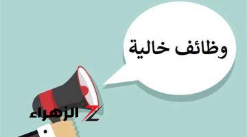 “فرصة عمرك جتلك لحد عندك”.. خليك جاهز فرص شغل جديدة هتخليك تكسب 11 ألف جنيه في الشهر ومش هتتعوض!”