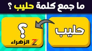 «دكاترة الجامعه احتاروا فيها».. جمع كلمة «حليب» التي حيرت جميع الاساتذة ودكاترة الجامعه.. نص دفعة 2023 سقطو بسببها