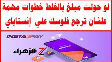 ” ألحق فلوسك لو حولتها بالغلط ” رجع فلوسك تاني لو حولتها بالغلط على انستا باي .. خطوات مهمة جدا