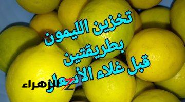 ولا الجن الأزرق يعرفها .. فكرة عبقرية لتخزين الليمون من السنة للسنة بدون ما يتغير لونه أو طعمه هيبقى فريش زي ما هو .. جربي ووفري بدل ما تشتريه