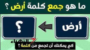 “السؤال الذي حير الملايين”.. هل تعرف جمع كلمة بقدونس في اللغة العربية ؟؟… أثارت جدل الطلاب