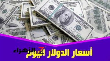 شاكــو ماكــو هسّــه.. سعر الدولار مقابل الدينار العراقي اليوم االأثنين 14 أكتوبر 2024 وسعر صرف 100 دولار كام