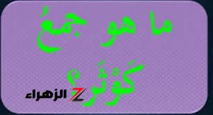“90% من الطلاب معرفوش يحلو” .. هل تعلم ما هو جمع كلمة كوثر التي حيرت جميع الطلاب ؟! .. الإجابة مستحيل تخطر على بالك!!!