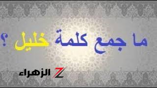 «تحديات صعبة».. ما هو جمع كلمة “خليل” في معاجم اللغة العربية؟.. احتار فيها طلبة الثانوية!!