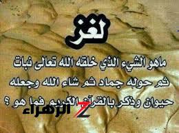 “لغز جنن العقول!!” .. هل تعلم ما هو الشيء خلقه الله نبات ثم تحول إلى جماد ثم حيوان؟! .. مش هتصدق هو إيه