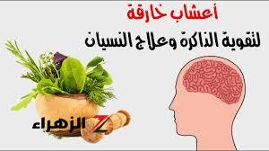 «ملايين الاطباء احتاروا فيها..!!» معجزة جبارة تقضي على الزهايمر والنسيان نهائيا وتقوي الذاكرة… حتى لو كان عمرك 60 سنة..!!