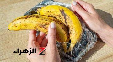 “كأنك لسة شارياه!”…. طريقة تخزين الموز في الثلاجة أو الفريزر لأطول فترة