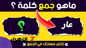 “طول عمرك عايش ومش دريان” لغز “جمع كلمة عار” في امتحانات اللغة العربية !! قضية تثير الجدل!