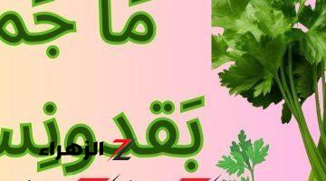 “السؤال الذي حير المعلمين”.. ما هي جمع كلمة ”بقدونس” في اللغة العربية؟؟ الطلاب والمدرسين هيتجننوا على معرفة  الإجابة..!!