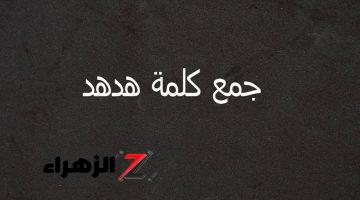 «الطلاب هيغمى عليها من التفكير..!!» ما هو جمع كلمة هدهد في اللغة العربية السؤال الذي ضيع طلاب الثانوية العامة في الامتحان يا ترى ما هي الاجابة الصحيحة.. لن تخطر على بال احد..