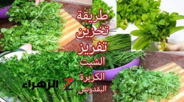 بأسرار المطاعم والتجار.. طريقة تخزين البقدونس والكزبرة والشبت في الفريزر🌿 لمدة شهر بدون أي تغير في اللون أو الطعم أو الرائحة