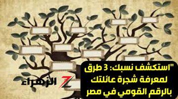 مستعد تعرف أنت مين وأصلك ايه؟!!! اعرف شجرة عيلتك كاملة لحد جدك الثامن.. برقم سري موجود في البطاقة