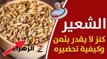 الشعير كنز لا يقدر بثمن – هذه هي الطريقة الصحيحة للاستفادة منه – شاهد أفضل طرق إستخدام الشعير