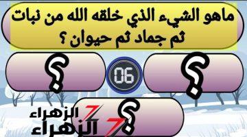 “لغز تبقي عبقري لو عرفتو!!” .. هل تعلم ما هو الشيء الذي كان في بداية خلقة نبات ثم تحول إلى جماد ثم حيوان؟! .. مش هتصدق هو إيه !!!