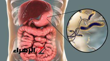 «ستصبح حياتك أفضل بكثير بعد معرفتها»… اكتشف أسباب جرثومة المعدة والأعشاب التي تخلصك منها نهائياً ونصيحة من طبيب مختص!