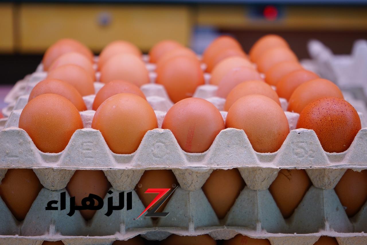 بعد قرار الحكومة.. انخفاض كبير في سعر كرتونة البيض | نزلت 50 جنيه