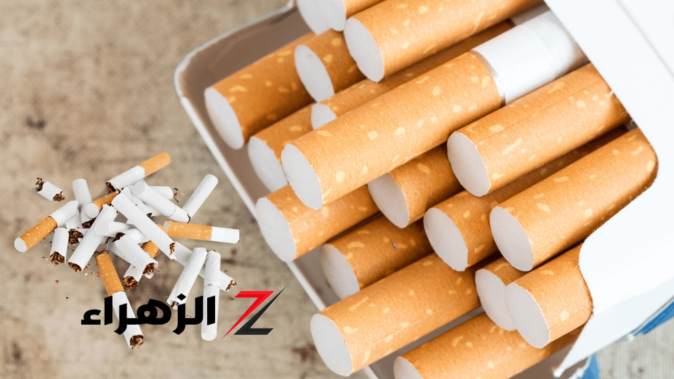بعد أخر زيادة رسمية.. أسعار السجائر اليوم في مصر | شوف العلبة بكام