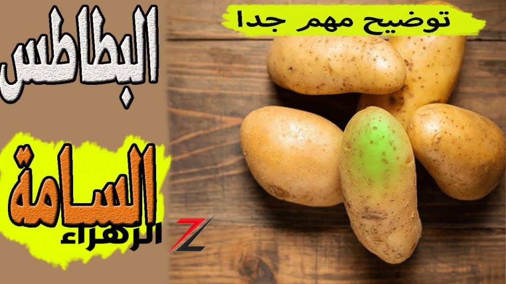 البطاطس السامة كيف تحمي نفسك من المخاطر