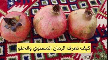 ضاع عمرنا واحنا منعرفش.. كيف تختار الرمان الناضج الحلو وتتجنب الحامض؟.. محدش هيغشك تاني