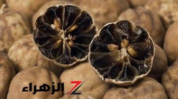 كنز في بيتك يساوي ملايين وانتي مش عارفه!!.. من النهاردة اوعي ترمي الليمون الناشف تاني مش هتستغني عنه في البيت شوفي هتعملي بيه اي