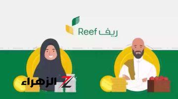 خطوات الاستعلام عن دعم ريف 1446 برقم الهوية