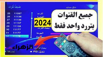 بضغطة زر مش أكتر .. أسرع طريقة لتنزيل جميع قنوات النايل سات 2024 بتردد واحد بس