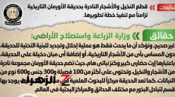 الحكومة تنفى قطع نخيل وأشجار نادرة بحديقة الأورمان تزامناً مع تطويرها