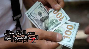 كام أسعار الأخضر النهاردة… سعر الدولار مقابل الجنية المصري اليوم الأثنين 14-10-2024 في جميع البنوك المصرية