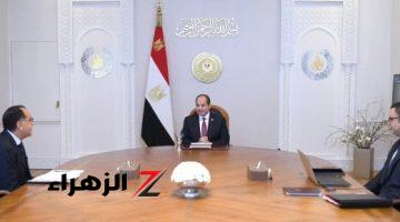 الرئيس السيسي يؤكد أهمية تعزيز جهود توفير السكن الملائم لجميع المواطنين