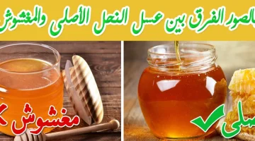 اختبار الماء والنار ..أفضل الطرق للتفريق بين العسل الأصلي والمغشوش .. ما حدش هيضحك عليك تاني !!