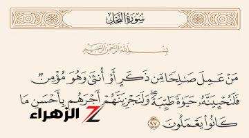 سؤال جنن كل الناس.. ما هو المعنى الحقيقي لمفردة “نساء” في اللغة العربية الفصحى؟ دكتور جامعي يوضح ويفصل الحقيقة!