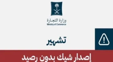 بالأسماء.. التشهير بـ10 متهمين حرروا شيكات بدون رصيد والكشف عن العقوبات الصادرة بحقهم