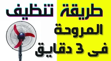 هترجعيها جديدة مرة تانية!!… اسهل طريقة لتنظيف مراوح السقف والمراوح الاستاند في اقل من 5 دقايق!