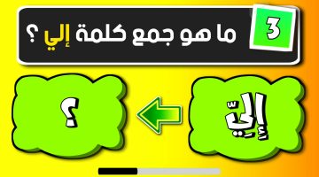 العباقرة معرفوش يحلوها.. ما هو جمع كلمة إلى في المعجم العربي؟.. حيرت ملايين الطلاب