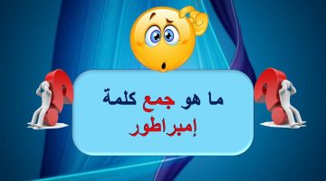 عجز عن حلها خبراء اللغة… ما هو جمع كلمة “إمبراطور” في اللغة العربية؟.. تحدي للأذكياء فقط