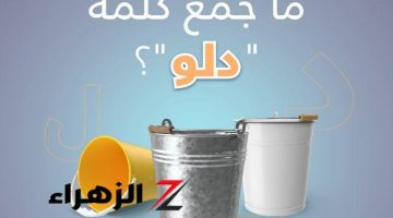 لغز حير الملايين.. ما هو جمع كلمة “دلو” في اللغة العربية؟! .. أتحداك تعرفها لوحدك