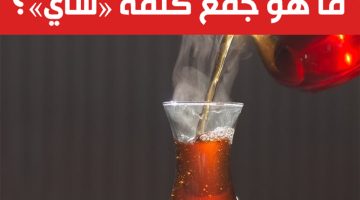 1% بس اللي يعرفوا الإجابة.. ماهو جمع كلمة “شاي” في اللغة العربية؟.. حيرت الطلاب كلهم