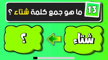 الكل بيدور عليها .. ماهو جمع كلمة “شتاء” في اللغة العربية| الإجابة صدمت ملايين الطلاب