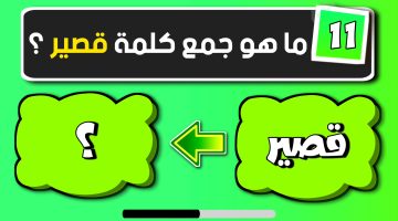 اتحداك لو وصلت للحل .. ما هو جمع كلمة “قصير” في اللغة العربية؟.. ورينا شطارتك