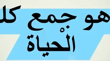 السؤال سقط طلاب كتير .. ما جمع كلمة «الحياة» في اللغة العربية؟.. إجابة لم يتوقعها أحد من الطلاب والمعلمين