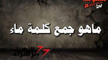 «سببت رسوب ملايين الطلاب..!!» ما هو جمع كلمة “مياه” في اللغة العربية السؤال اللي ابكى الطلاب.. دكتور جامعي يكشف عن الاجابة الصحيحة..!!